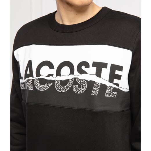 Lacoste Bluza | Regular Fit Lacoste  M Gomez Fashion Store