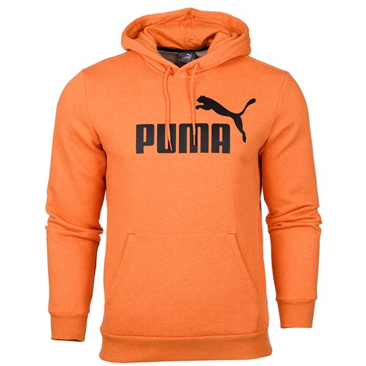 Bluza męska Puma Essentials Hoody Fl 852422 17