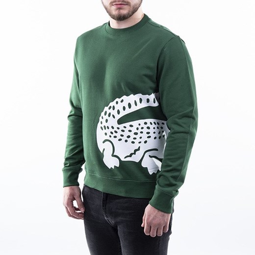 Bluza męska Lacoste w nadruki 