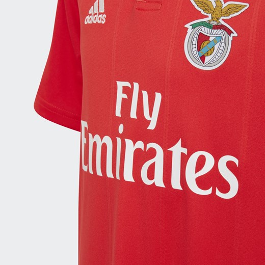 Koszulka podstawowa Benfica