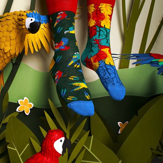 Paradise Parrot - Many Mornings skarpety kolorowe Papugi Pióra 35-38 Many Mornings  35-38 SoxLand