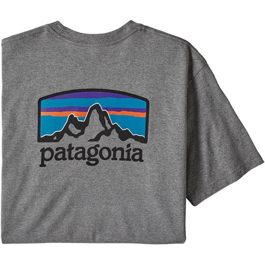 T-shirt męski Patagonia 