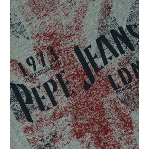 T-shirt chłopięce Pepe Jeans z długim rękawem 