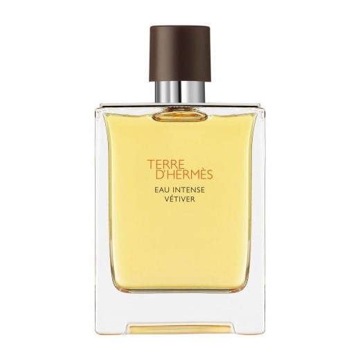 Hermes Terre d Hermes Eau Intense Vetiver 100ml edp TESTER Faldo