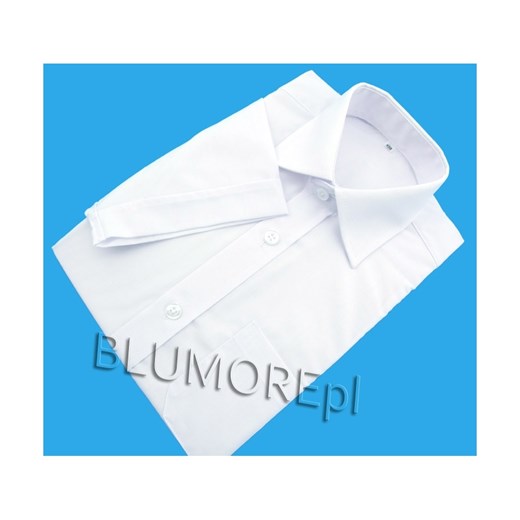 Elegancka biała koszula krótki rękaw dla chłopca 86 - 152 blumore-pl niebieski bawełniane