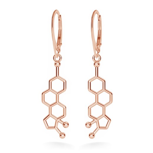 Srebrne kolczyki estrogen wzór chemiczny 925 : Kolor pokrycia srebra - Pokrycie Różowym 18K Złotem Giorre GIORRE