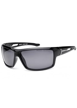 Okulary Arctica S-203 z polaryzacją ze sklepu Stylion w kategorii Okulary przeciwsłoneczne męskie - zdjęcie 107789482