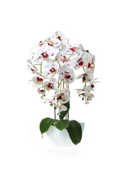 Sztuczny storczyk orchidea- kompozycja kwiatowa 60 cm 3PGK ze sklepu Pantofelek24.pl w kategorii Dekoracje - zdjęcie 109606051