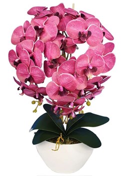 Śliczny bordowy storczyk orchidea- kompozycja kwiatowa 60 cm 3pgrr ze sklepu Pantofelek24.pl w kategorii Dekoracje - zdjęcie 121158531