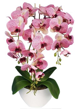 Sztuczny storczyk orchidea- kompozycja kwiatowa 60 cm 3PGRK2 ze sklepu Pantofelek24.pl w kategorii Dekoracje - zdjęcie 124599323