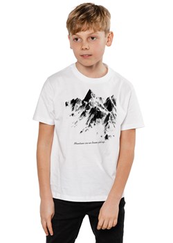T-shirt dziecięcy UNDERWORLD Mountains ze sklepu morillo w kategorii T-shirty chłopięce - zdjęcie 125701514