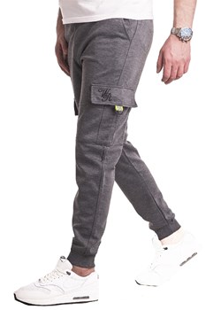Spodnie dresowe DE-1081szare ze sklepu Risardi w kategorii Spodnie męskie - zdjęcie 131542390