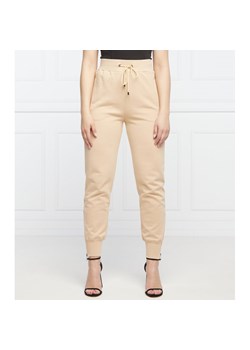 Iceberg Spodnie dresowe | Regular Fit ze sklepu Gomez Fashion Store w kategorii Spodnie damskie - zdjęcie 136107930