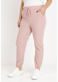 Różowe Spodnie Euphothee ze sklepu Born2be Odzież w kategorii Spodnie damskie - zdjęcie 138012072