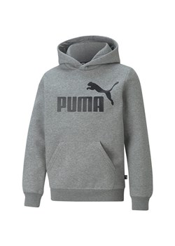 Bluza młodzieżowa Essentials Big Logo Hooded Puma ze sklepu SPORT-SHOP.pl w kategorii Bluzy chłopięce - zdjęcie 138181052