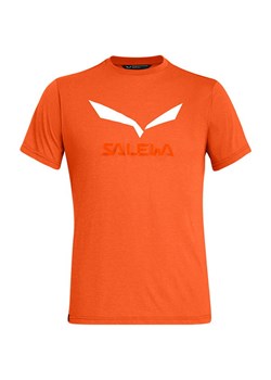 Koszulka męska Solidlogo Salewa ze sklepu SPORT-SHOP.pl w kategorii T-shirty męskie - zdjęcie 138197140
