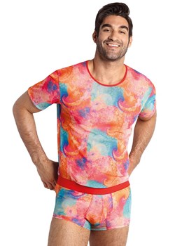Falcon koszulka męska, Kolor multicolour, Rozmiar L, Anais ze sklepu Intymna w kategorii T-shirty męskie - zdjęcie 140668460