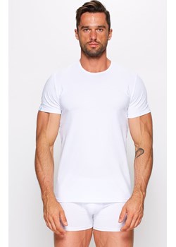 Koszulka męska t-shirt z krótkim rękawem biały 01/9-82/2, Kolor biały, Rozmiar L, Fabio Undercare ze sklepu Intymna w kategorii Podkoszulki męskie - zdjęcie 140673514