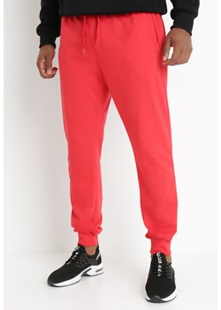 Czerwone Spodnie Dephelle ze sklepu Born2be Odzież w kategorii Spodnie męskie - zdjęcie 142637222