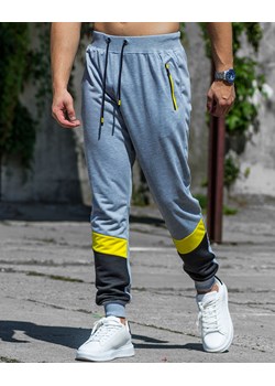 Spodnie męskie joggery szare Recea ze sklepu Recea.pl w kategorii Spodnie męskie - zdjęcie 142768214
