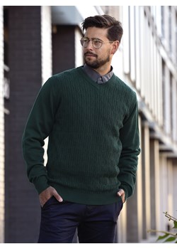 Sweter męski Alex (duży) - zielony - 4XL ze sklepu Swetry Lasota w kategorii Swetry męskie - zdjęcie 144149180