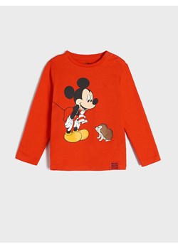 Sinsay - Koszulka Myszka Miki - Czerwony ze sklepu Sinsay w kategorii Odzież dla niemowląt - zdjęcie 144510960