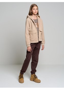 Spodnie dresowe dziewczęce brązowe Abeulita 804 ze sklepu Big Star w kategorii Spodnie dziewczęce - zdjęcie 144667160