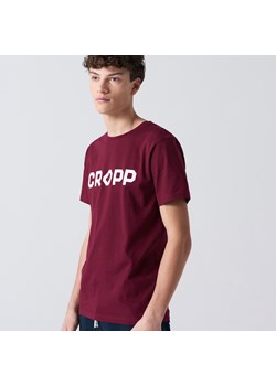 Cropp - Koszulka z nadrukiem Cropp - kasztanowy ze sklepu Cropp w kategorii T-shirty męskie - zdjęcie 146925561