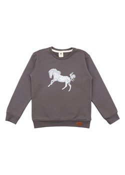 Walkiddy Bluza w kolorze szarym ze sklepu Limango Polska w kategorii Bluzy chłopięce - zdjęcie 148212281
