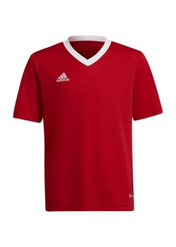 Koszulka juniorska Entrada 22 Jersey Adidas ze sklepu SPORT-SHOP.pl w kategorii Bluzki dziewczęce - zdjęcie 149174681