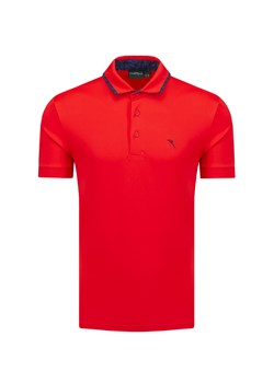 Polo CHERVO ABBACO ze sklepu S'portofino w kategorii T-shirty męskie - zdjęcie 149326181