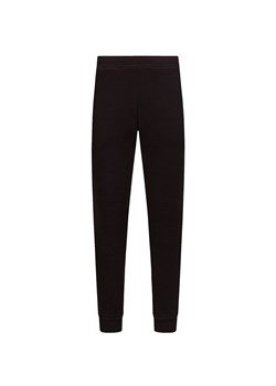 Spodnie dresowe CASTORE APEX ze sklepu S'portofino w kategorii Spodnie męskie - zdjęcie 149347711