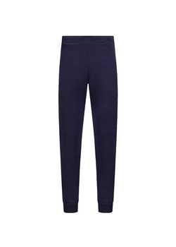 Spodnie dresowe CASTORE APEX ze sklepu S'portofino w kategorii Spodnie męskie - zdjęcie 149347714