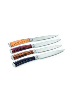 Philippi zestaw noży do steków w etui Garry 4-pack ze sklepu ANSWEAR.com w kategorii Noże kuchenne - zdjęcie 149351192