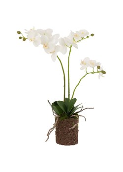 J-Line sztuczna roślina w doniczce ze sklepu ANSWEAR.com w kategorii Dekoracje - zdjęcie 149388113