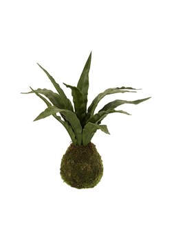 J-Line sztuczna roślina ze sklepu ANSWEAR.com w kategorii Dekoracje - zdjęcie 149388120