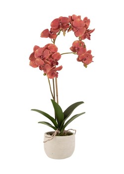 J-Line sztuczna roślina w doniczce ze sklepu ANSWEAR.com w kategorii Dekoracje - zdjęcie 149388130