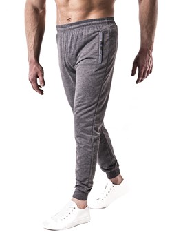 Spodnie dresowe y4321 szare ze sklepu Risardi w kategorii Spodnie męskie - zdjęcie 153237062