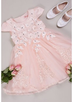 Różowa Sukienka z Tiulowym Dołem Ozdobiona Kwiatkami Karemia ze sklepu Born2be Odzież w kategorii Sukienki dziewczęce - zdjęcie 153245294