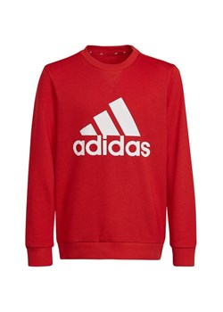 Bluza juniorska Sweatshirt Big Logo Adidas ze sklepu SPORT-SHOP.pl w kategorii Bluzy dziewczęce - zdjęcie 154216960