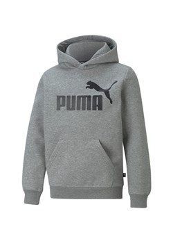 Bluza juniorska Essentials Big Logo Hooded Puma ze sklepu SPORT-SHOP.pl w kategorii Bluzy chłopięce - zdjęcie 154218374