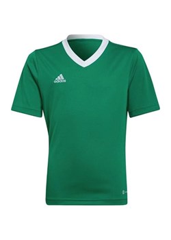 Koszulka juniorska Entrada 22 Jersey Adidas ze sklepu SPORT-SHOP.pl w kategorii T-shirty chłopięce - zdjęcie 154238910