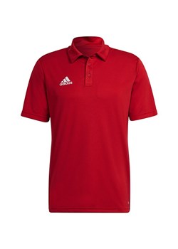 Koszulka męska polo Entrada 22 Polo Adidas ze sklepu SPORT-SHOP.pl w kategorii T-shirty męskie - zdjęcie 154239782