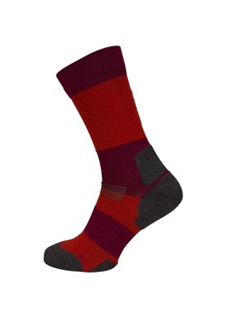 Skarpety Endure XC Swix ze sklepu SPORT-SHOP.pl w kategorii Skarpetki męskie - zdjęcie 154281550