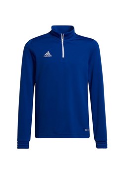 Bluza juniorska Entrada 22 Top Training Adidas ze sklepu SPORT-SHOP.pl w kategorii Bluzy chłopięce - zdjęcie 154286690