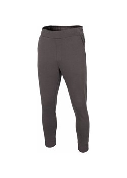 Spodnie dresowe męskie H4Z22 SPMD015 4F ze sklepu SPORT-SHOP.pl w kategorii Spodnie męskie - zdjęcie 156956503