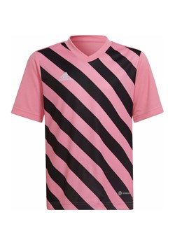 Koszulka juniorska Entrada 22 Graphic Jersey Adidas ze sklepu SPORT-SHOP.pl w kategorii T-shirty chłopięce - zdjęcie 156956960