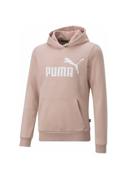 Bluza juniorska Essentials Logo Hoodie Puma ze sklepu SPORT-SHOP.pl w kategorii Bluzy dziewczęce - zdjęcie 157049400