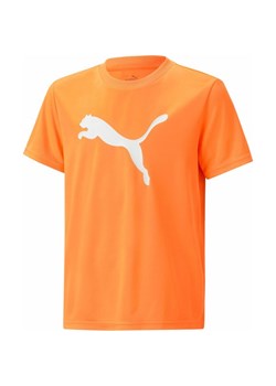 Koszulka juniorska Active Sports Poly Cat Tee B Puma ze sklepu SPORT-SHOP.pl w kategorii T-shirty chłopięce - zdjęcie 157446544