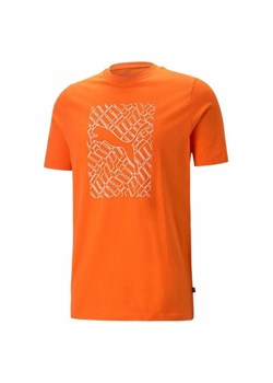 Koszulka męska Graphics Cat Tee Puma ze sklepu SPORT-SHOP.pl w kategorii T-shirty męskie - zdjęcie 157496701